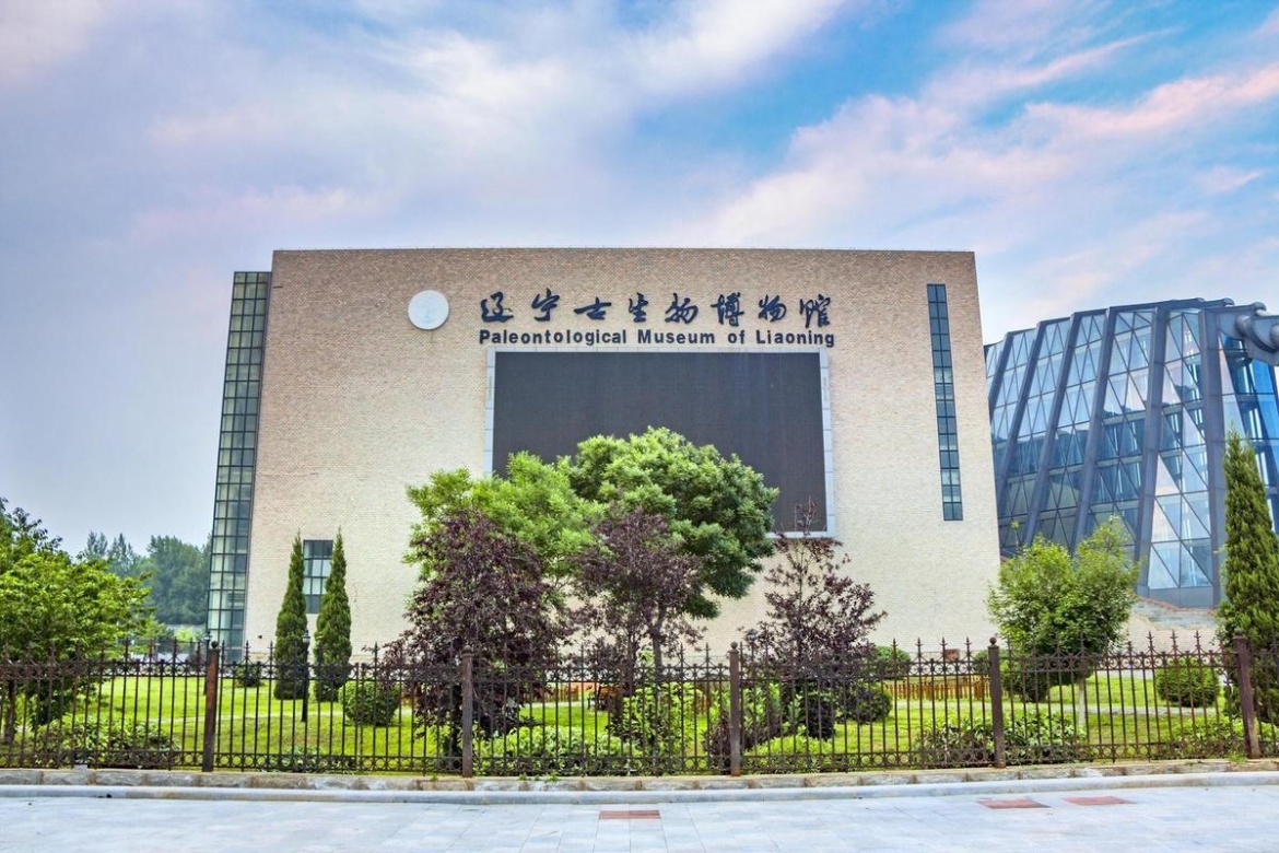 Liaoning Museum
